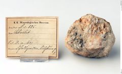 Foto von Scheelit (NHMW-MIN-Ac825)